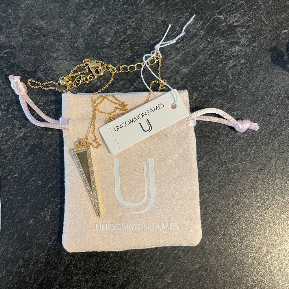 NWT Uncommon James necklace